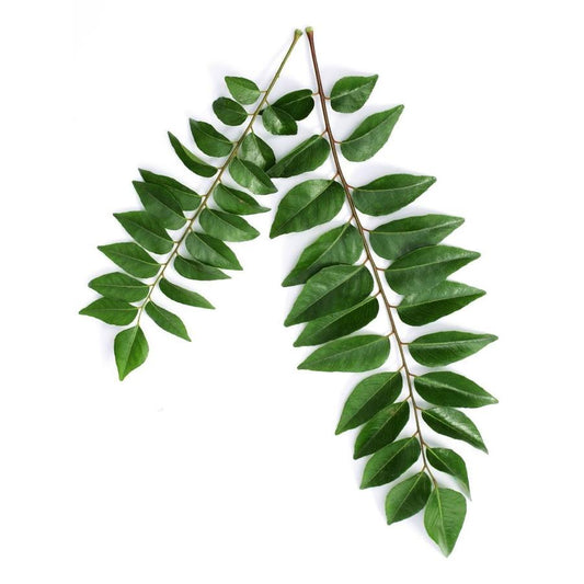 Curry Leaves  കറിവേപ്പില (1bunch)