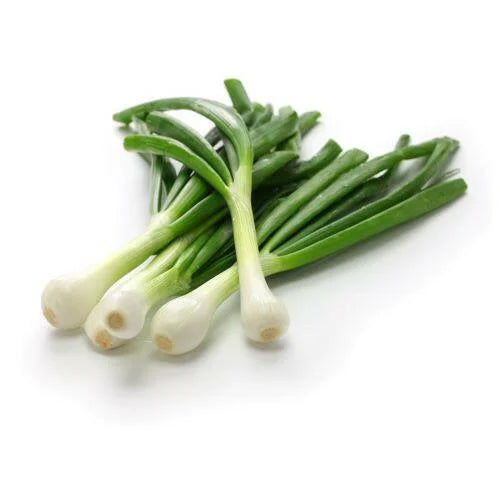 Spring Onion (1 bunch)