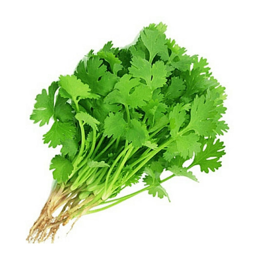 Coriander Leaf മല്ലി ചെപ്പ് (1 bunch)