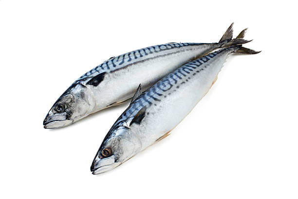 Mackerel Frozen (1 bag)