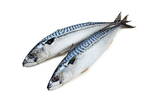 Mackerel Frozen (1 bag)